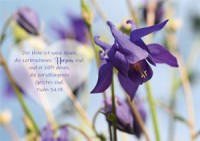 Postkarte - Herz - Psalm 34,19